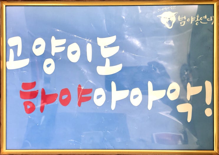  고양이가 나라를 구한다_민주묘총과 범야옹연대