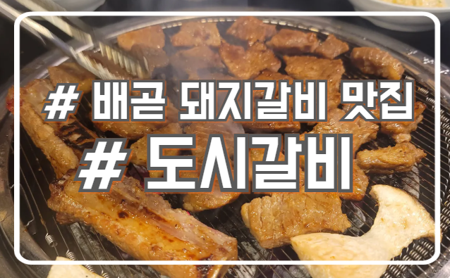  시흥 배곧 돼지갈비 맛집 키즈 놀이방이 있는 도시갈비