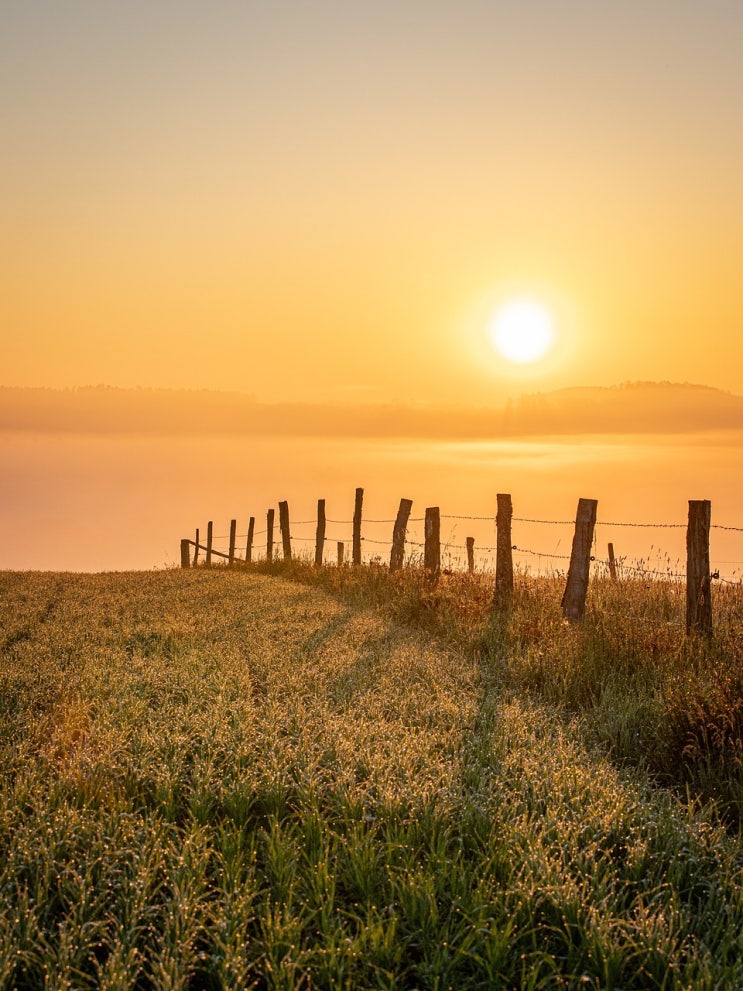  good fences make good neighbors, sit on the fence, fence sitter 뜻 예문