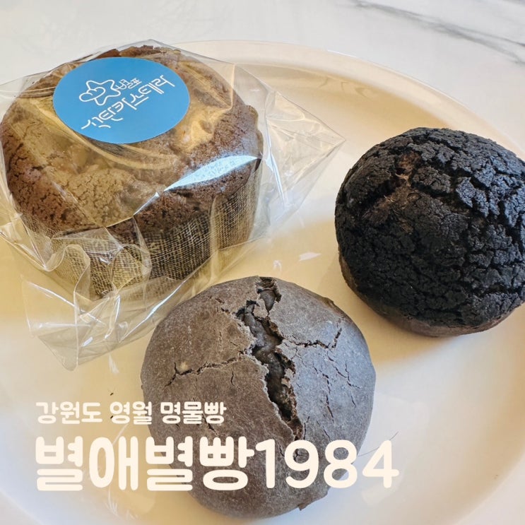 강원도 영월 여행 대형 베이커리 카페 영월 석탄빵 별애별빵1984