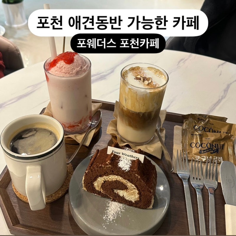 사진 4