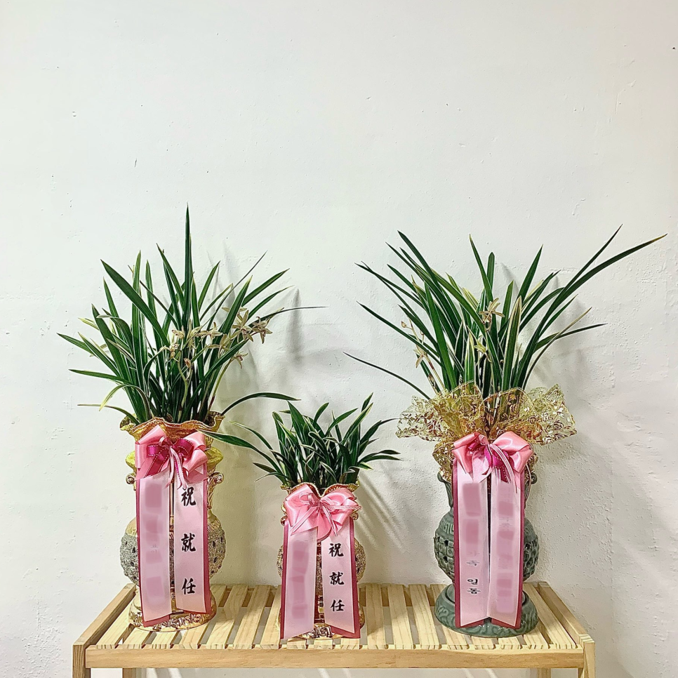강현철의원 사진 5