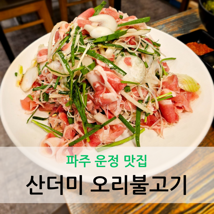  파주 운정 맛집 다율동 오리불고기 100% 국내산 산더미 오리불고기