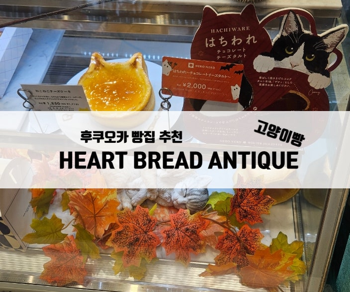  후쿠오카 빵집 추천 HEART BREAD ANTIQUE 하카타역 마크이스 방문 추천