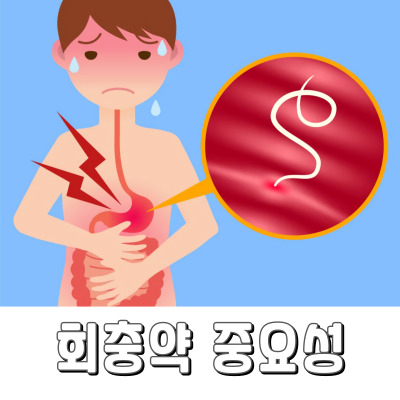  회충약은 아이부터 어른까지 꼭 먹어야 합니다.