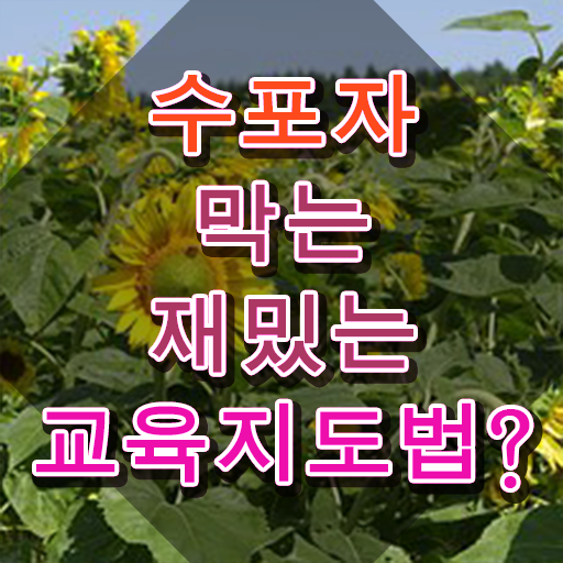  스토리텔링수학캠프 , 스토리텔링수학지도사 자격증 2주 만에 시험준비 및 채용 정보