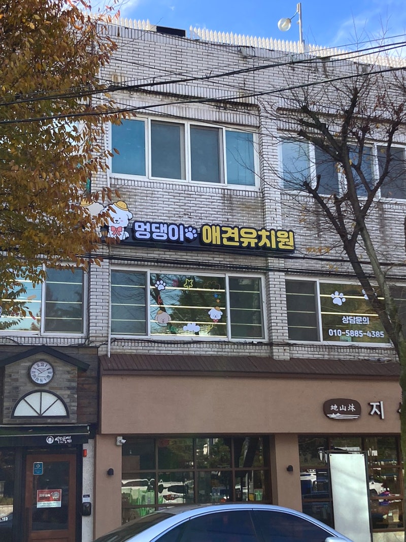 멍댕이 애견유치원