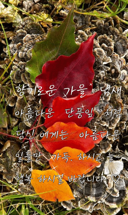 <b>명태균 옥중</b> 폭로...