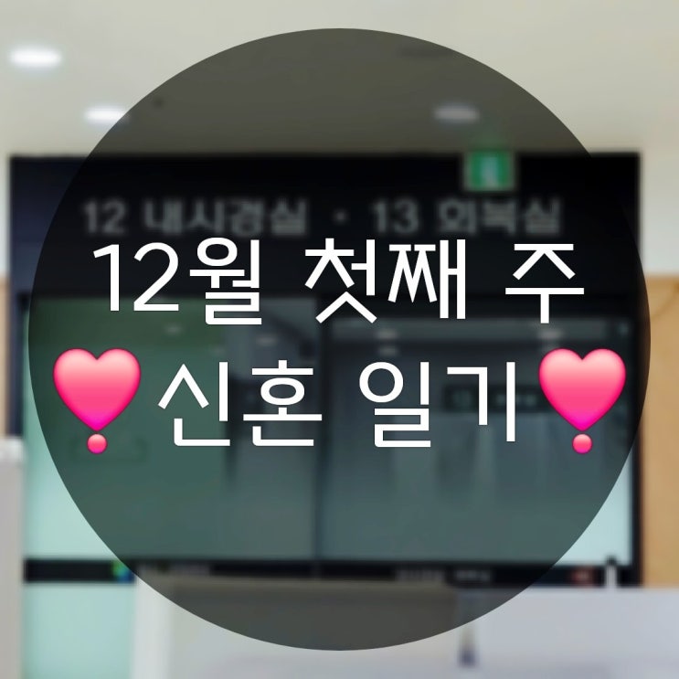  12월 첫째 주의 신혼 일상(마디온정형외과 쏘오옥침대 올리브 강아지침대)