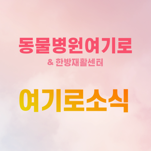  동물병원여기로 기사 소식