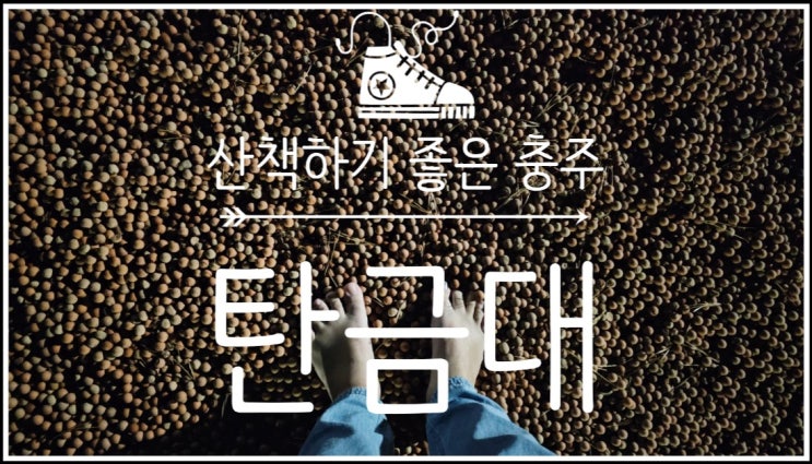  충주 여행 중 힐링타임 아이와 함께 걷기 좋은 충주의 숨겨진 명소들