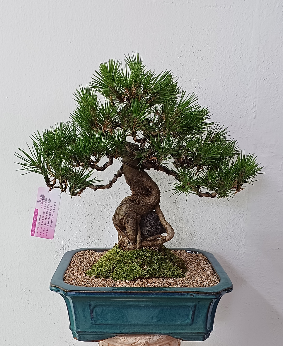 강현철의원 사진 6