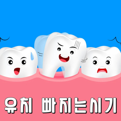 유치가 빠지는 나이와 순서 정리
