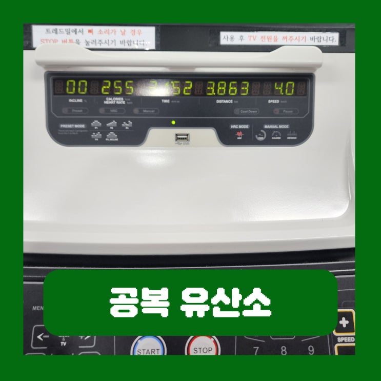 공복 유산소 운동 효과 아침 달리기 1시간 다이어트 부작용