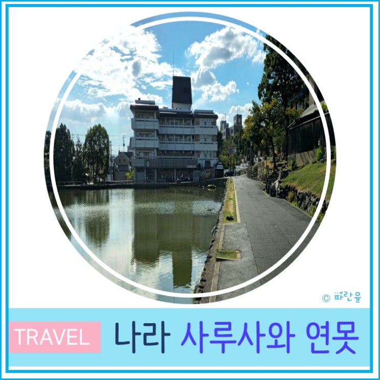  오사카 근교 소도시 간사이 나라 여행 산책하기 좋은 곳 사루사와 연못