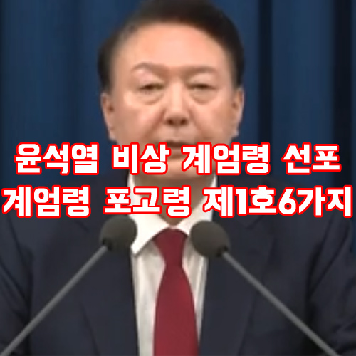  윤석열 비상 계엄령 선포 [ 계엄령 포고령 제1호 6가지 ]