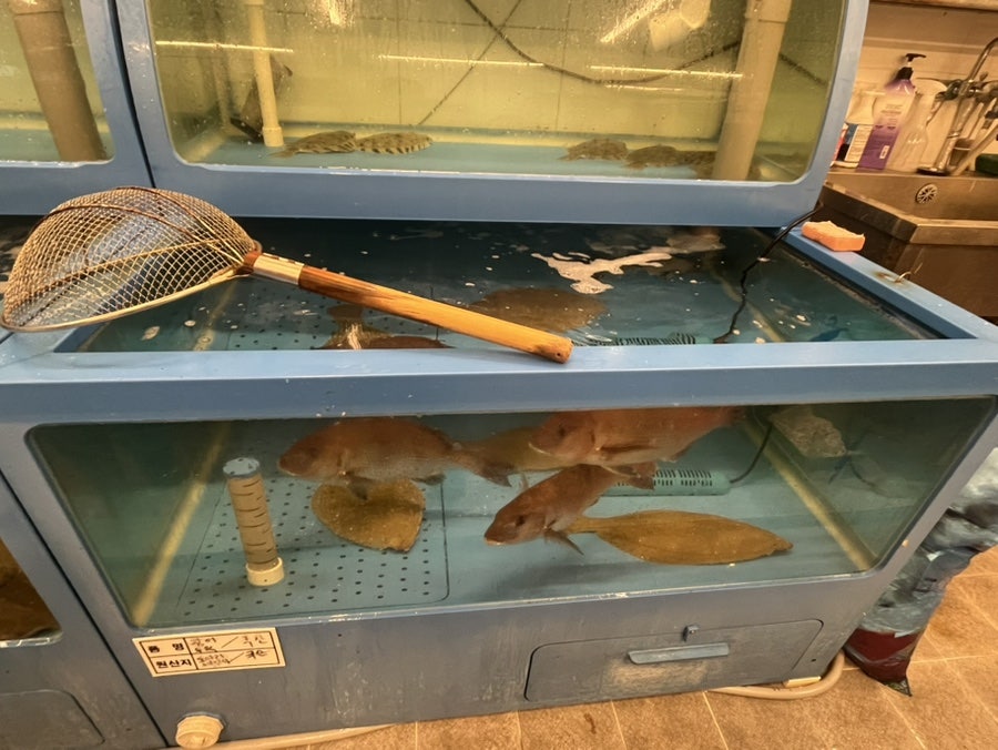 풍덕싱싱회센타 사진 4