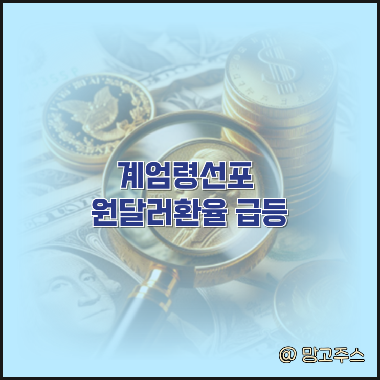 계엄령선포 원달러환율 급등