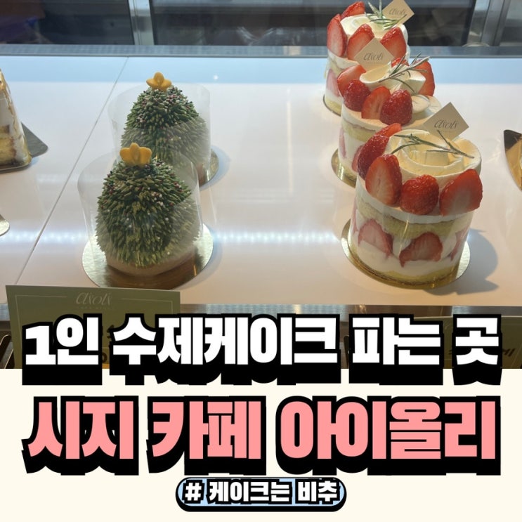  경산 시지 조각케잌 카페 아이올리, 쁘띠케이크 먹고 싶어서 방문