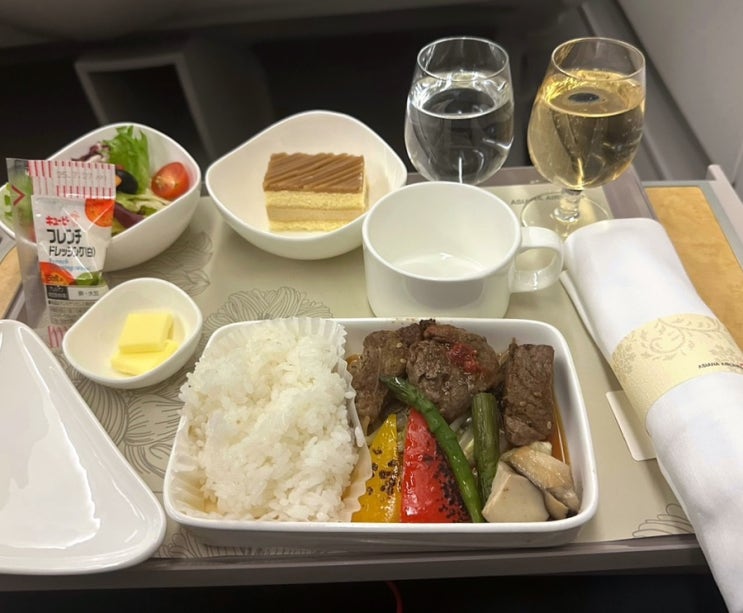  OZ1155 A330-300 아시아나 항공 오사카 간사이 출발 김포공항 비지니스 비즈니스석 좌석 체크인 라운지 기내식 후기