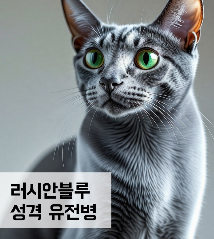  러시안블루 고양이 성격 유전병 특징에 대해
