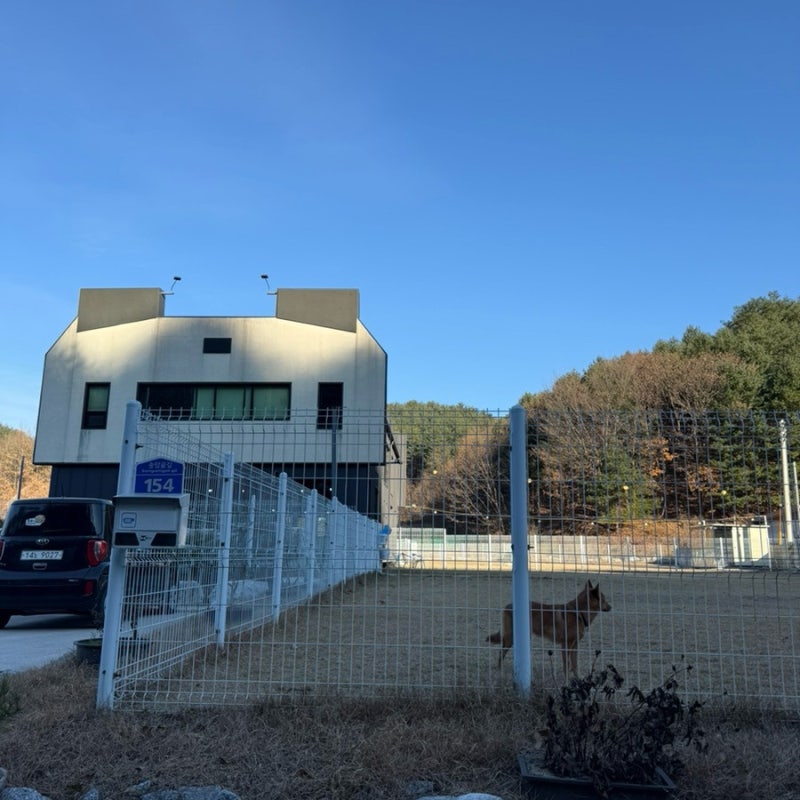 사진 4