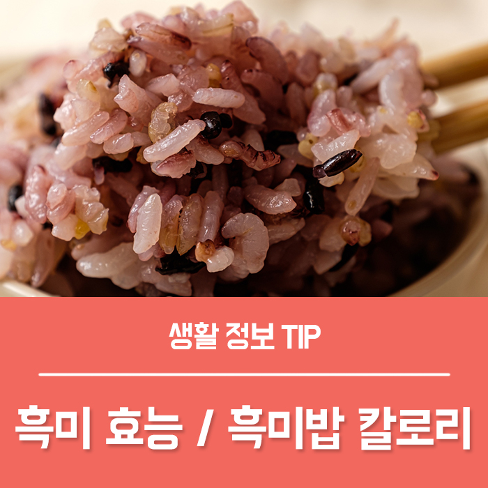  흑미쌀 효능 4가지, 찰흑미 효능 부작용 칼로리 먹는법은?