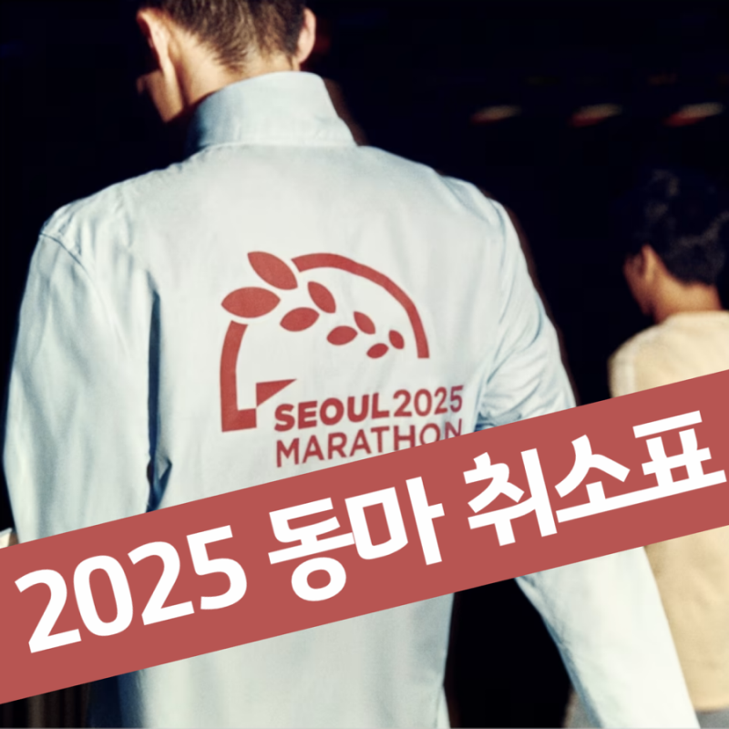 2025 동아마라톤 추가접수 예상 일정 #아디다스 동마 패키지x, 취소표o