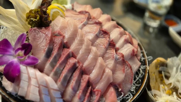  [성남 분당 정자역 카페거리 대방어 맛집] 회뜨는집 (겨울 기름진 대방어)