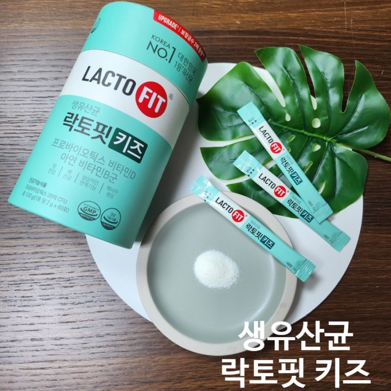 락토핏 키즈 어린이 유산균 내돈내산 후기 유산균 섭취시간