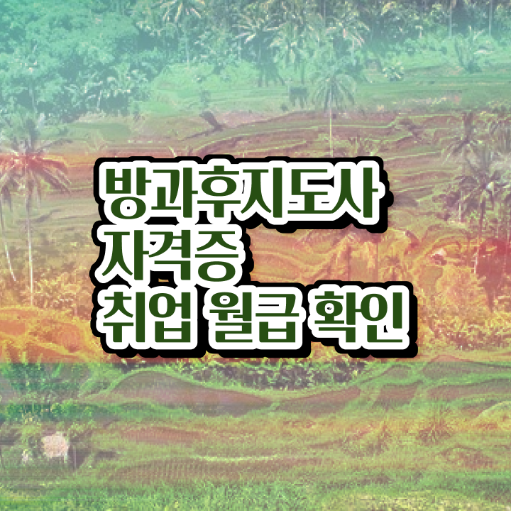  방과후교사 자격 , 방과후지도사 취득한 방법 , 무료 교육기관
