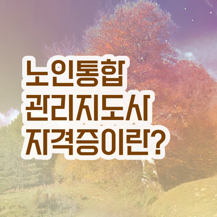  쉬운자격증추천 , 노인통합관리지도사 관련학과 졸업장 없어도 손쉽게 준비하는 노하우