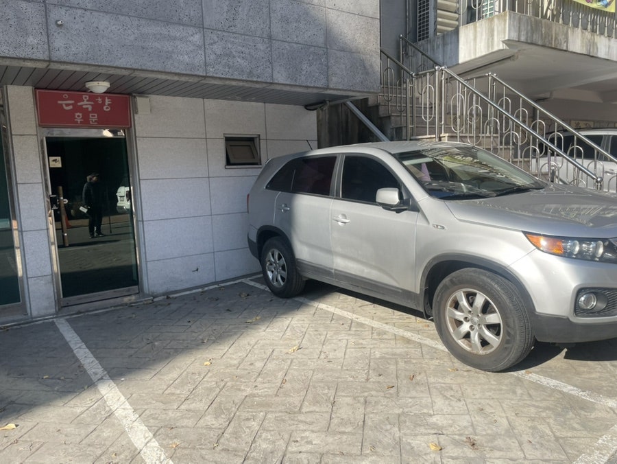 은목향 사진 5