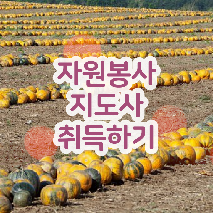  , 자원봉사지도사 자격증 취득한 노하우 알아볼게요
