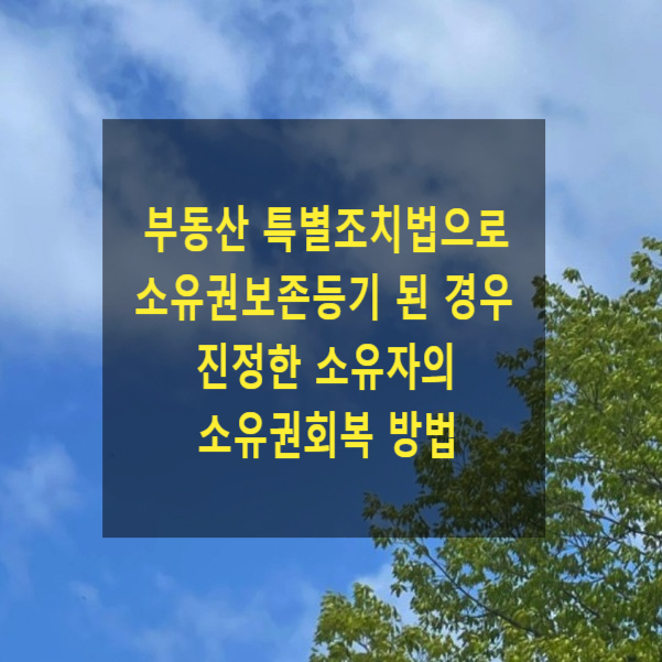  부동산 특별조치법으로 소유권보존등기 된 경우 진정한 소유자의 소유권회복 방법