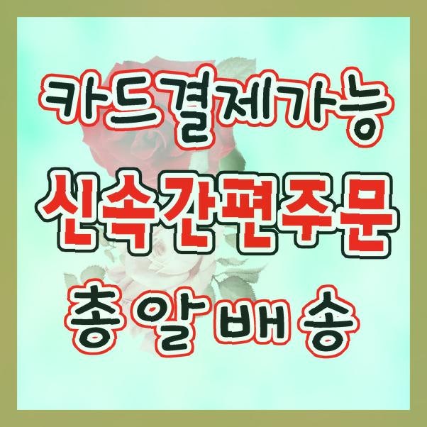 사진 2