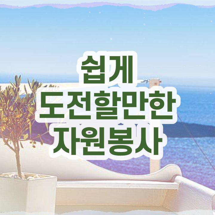  , 자원봉사지도사 자격증 합격한 전략 요점정리