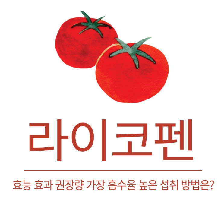  라이코펜 효능 효과 권장량 가장 흡수율 높은 섭취 방법은?
