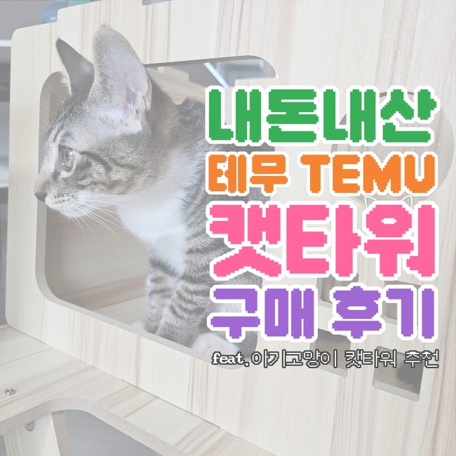  테무 TEMU 캣타워 내돈내산 구매 꿀팁 : 아기 고양이 캣타워 추천