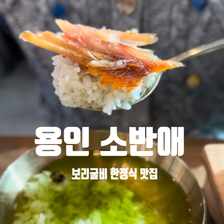  용인 처인구 한정식 해솔리아cc 맛집 소반애