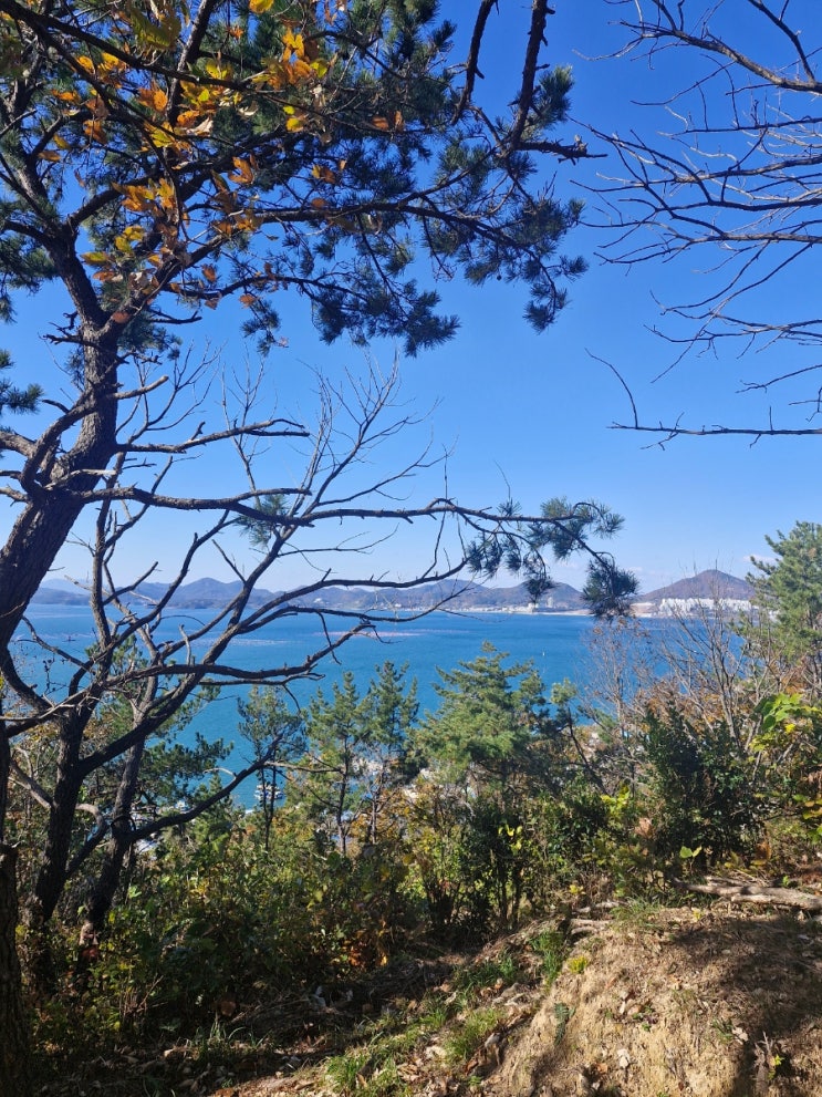  신행 끗, 현실 복귀 3주 차..