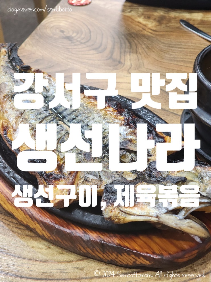  [내돈내산] 강서구 생선구이 맛집 | 생선나라