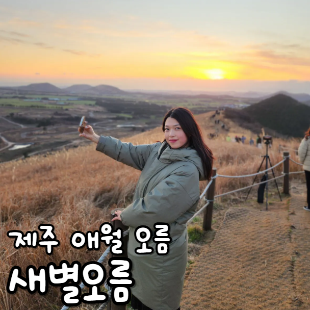  새별오름 버스 입장료 제주 애월 오름 일몰