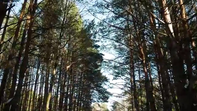  수산물품질관리사 자격증 , 초단기 준비했던 비법