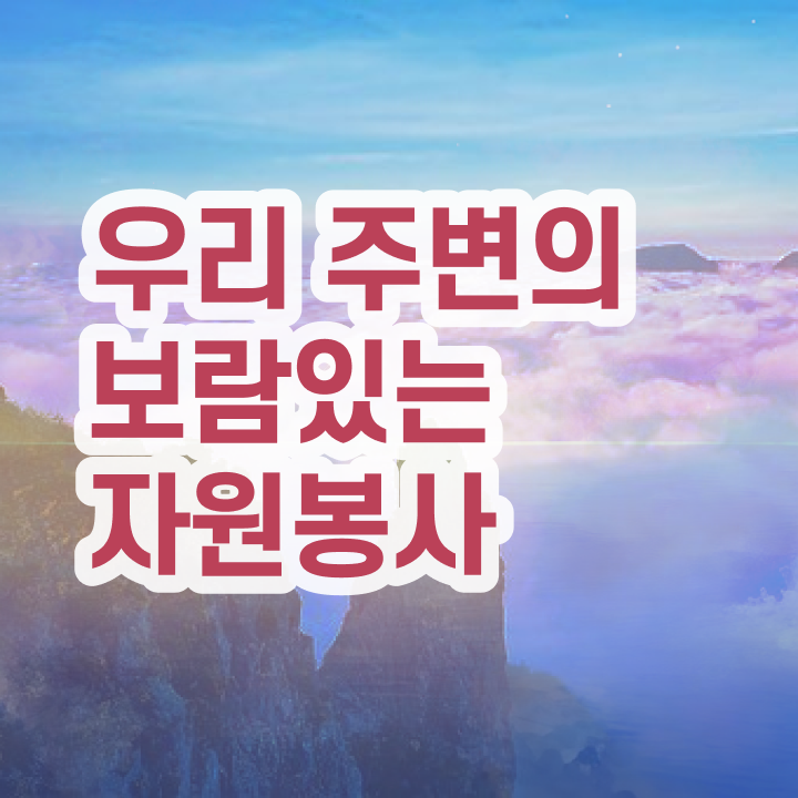  , 자원봉사지도사 자격증 15일 만에 준비한 방법 , 향후 전망
