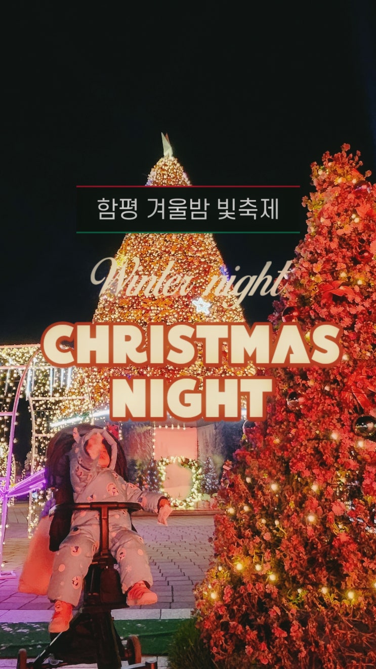 함평 크리스마스 겨울 빛축제 평일 후기 및 주차정보