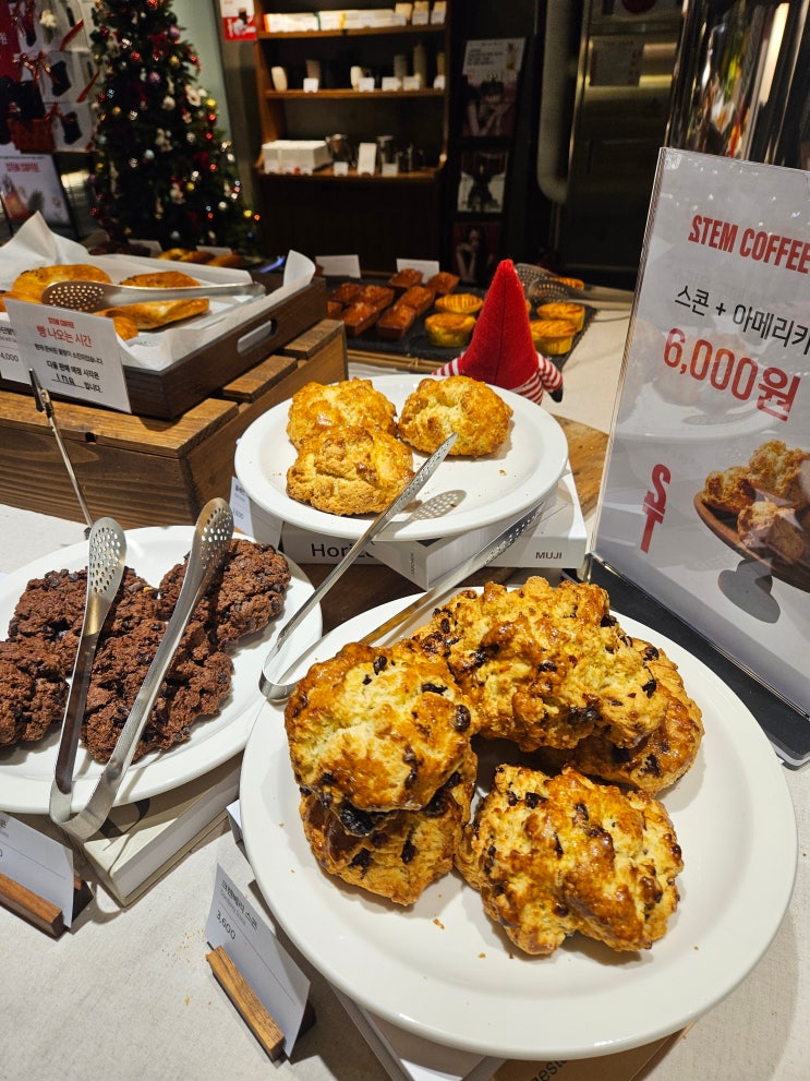 코엑스 카페 조용하고 자리 많은 스템커피