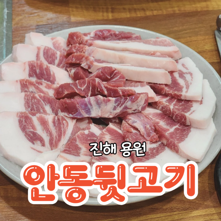  진해 용원 맛집 고기 퀄리티 좋은 안동뒷고기