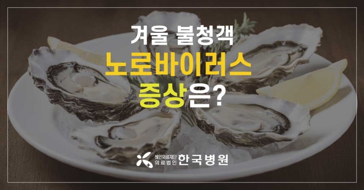  굴 먹고 토하고 설사? 노로바이러스 증상 의심된다면?