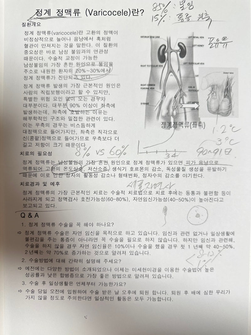 정계정맥류수술후기 시험관 결과에 얼마나 효과 있을까